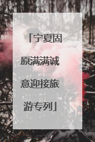 宁夏固原满满诚意迎接旅游专列