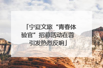 宁夏文旅“青春体验官”招募活动在蓉引发热烈反响