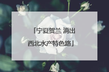 宁夏贺兰 淌出西北水产特色路