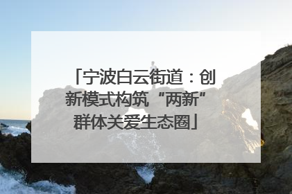 宁波白云街道：创新模式构筑“两新”群体关爱生态圈