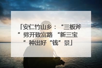 安仁竹山乡：“三板斧”劈开致富路 “新三宝”种出好“钱”景