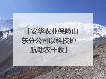 安华农业保险山东分公司以科技护航助农丰收