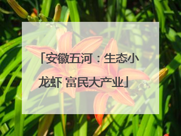 安徽五河：生态小龙虾 富民大产业