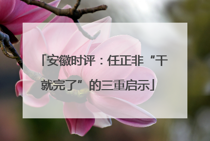 安徽时评：任正非“干就完了”的三重启示