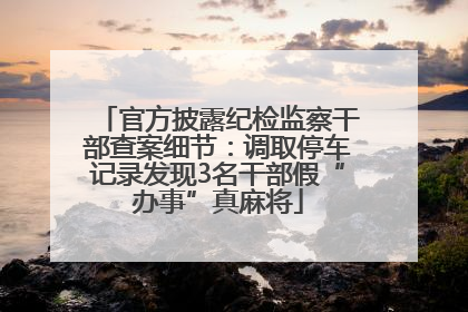 官方披露纪检监察干部查案细节：调取停车记录发现3名干部假“办事”真麻将