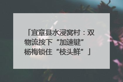 宜章县水浸窝村：双物流按下“加速键” 杨梅锁住“枝头鲜”