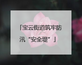 宝云街道筑牢防汛“安全堤”