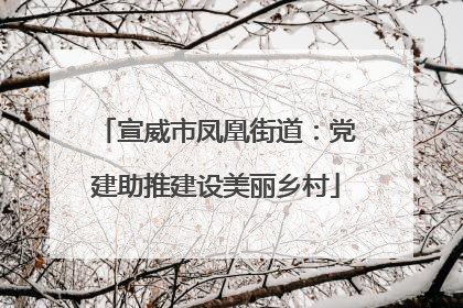 宣威市凤凰街道：党建助推建设美丽乡村