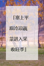 塞上平原冷凉蔬菜进入采收旺季