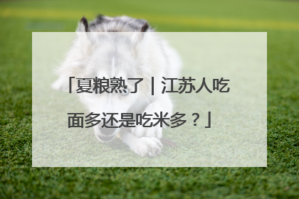夏粮熟了｜江苏人吃面多还是吃米多？