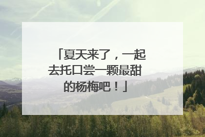 夏天来了，一起去托口尝一颗最甜的杨梅吧！