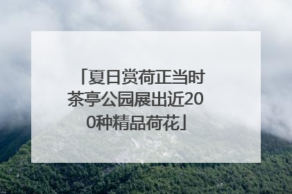 夏日赏荷正当时 茶亭公园展出近200种精品荷花