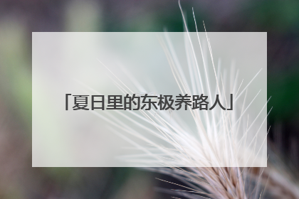 夏日里的东极养路人