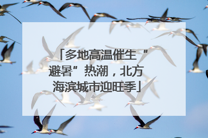 多地高温催生“避暑”热潮，北方海滨城市迎旺季