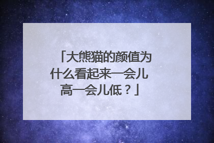 大熊猫的颜值为什么看起来一会儿高一会儿低？