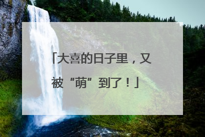 大喜的日子里，又被“萌”到了！