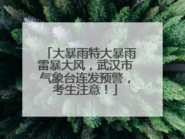 大暴雨特大暴雨雷暴大风，武汉市气象台连发预警，考生注意！