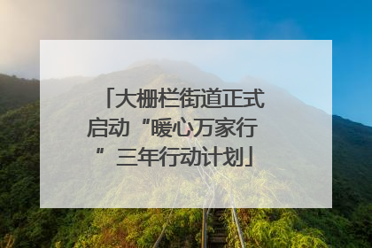 大栅栏街道正式启动“暖心万家行”三年行动计划