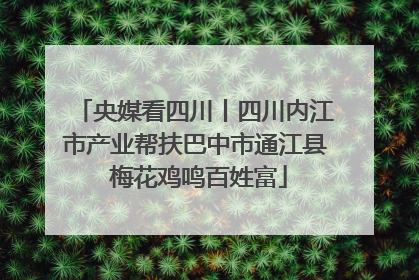 央媒看四川丨四川内江市产业帮扶巴中市通江县 梅花鸡鸣百姓富