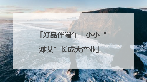 好品伴端午丨小小“潍艾”长成大产业