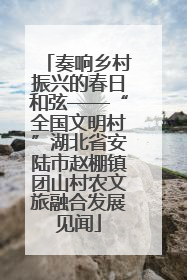 奏响乡村振兴的春日和弦——“全国文明村”湖北省安陆市赵棚镇团山村农文旅融合发展见闻