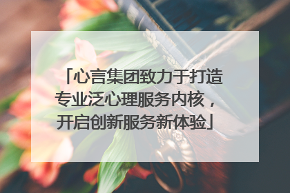 心言集团致力于打造专业泛心理服务内核，开启创新服务新体验