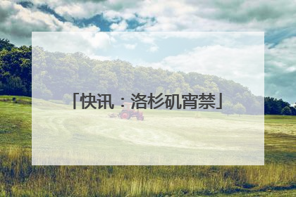 快讯：洛杉矶宵禁