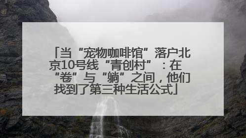 当“宠物咖啡馆”落户北京10号线“青创村”：在“卷”与“躺”之间，他们找到了第三种生活公式
