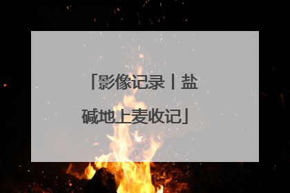 影像记录丨盐碱地上麦收记