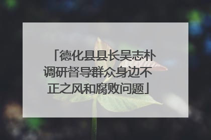 德化县县长吴志朴调研督导群众身边不正之风和腐败问题