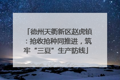 德州天衢新区赵虎镇：抢收抢种同推进，筑牢“三夏”生产防线