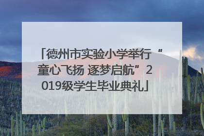 德州市实验小学举行“童心飞扬 逐梦启航”2019级学生毕业典礼