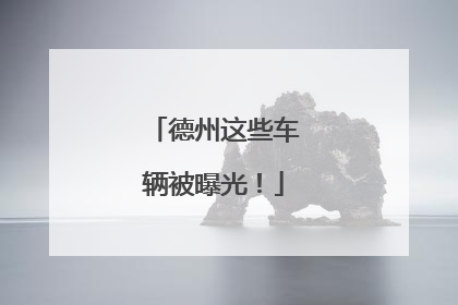 德州这些车辆被曝光！