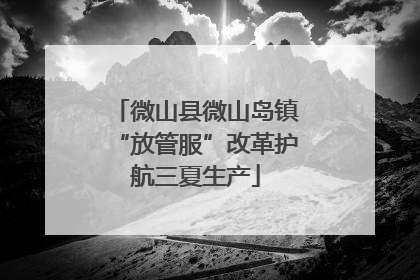 微山县微山岛镇“放管服”改革护航三夏生产