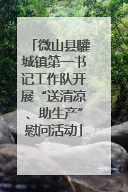微山县驩城镇第一书记工作队开展“送清凉、助生产”慰问活动