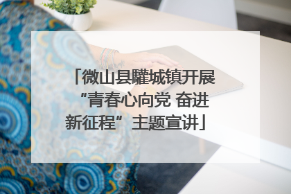 微山县驩城镇开展“青春心向党 奋进新征程”主题宣讲