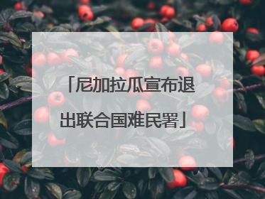尼加拉瓜宣布退出联合国难民署