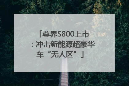 尊界S800上市：冲击新能源超豪华车“无人区”
