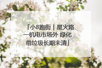 小8跑街｜星火路一机电市场外 绿化带垃圾长期未清