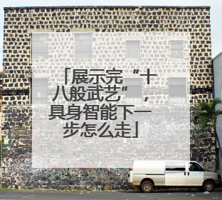 展示完“十八般武艺”，具身智能下一步怎么走