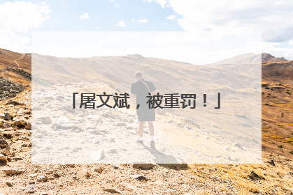 屠文斌，被重罚！