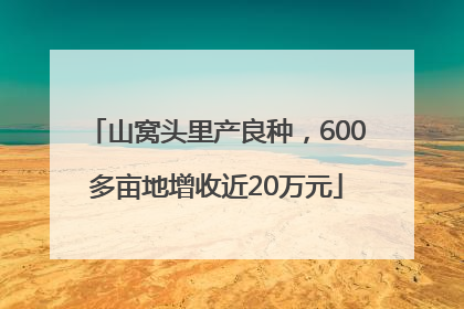 山窝头里产良种，600多亩地增收近20万元
