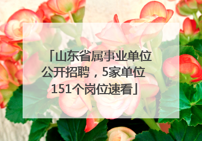 山东省属事业单位公开招聘，5家单位151个岗位速看