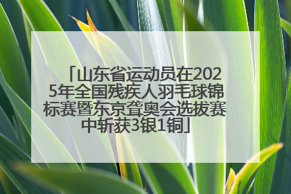 山东省运动员在2025年全国残疾人羽毛球锦标赛暨东京聋奥会选拔赛中斩获3银1铜