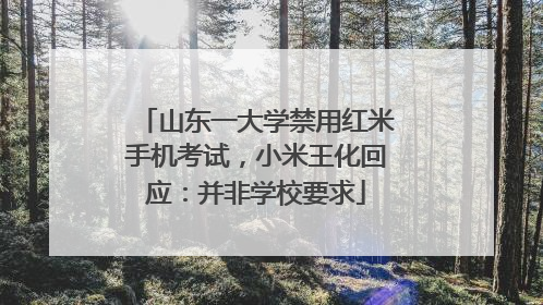 山东一大学禁用红米手机考试，小米王化回应：并非学校要求