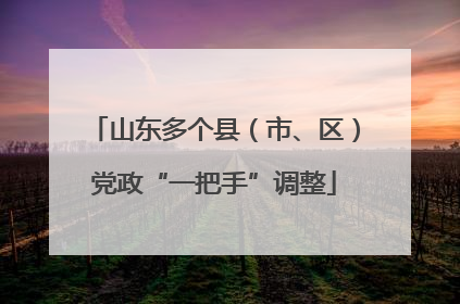 山东多个县（市、区）党政“一把手”调整