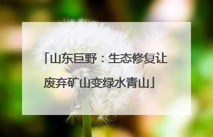 山东巨野：生态修复让废弃矿山变绿水青山