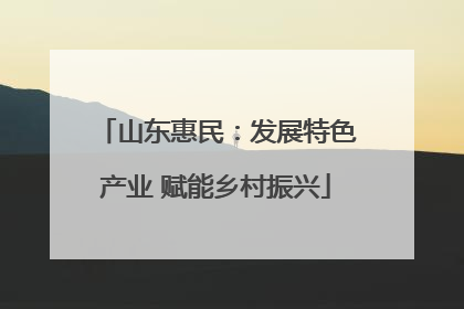 山东惠民：发展特色产业 赋能乡村振兴