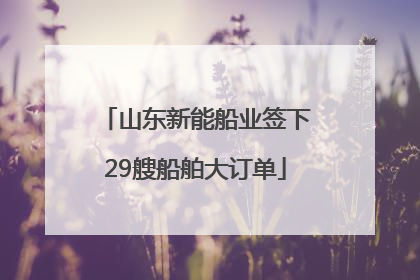 山东新能船业签下29艘船舶大订单