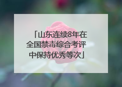 山东连续8年在全国禁毒综合考评中保持优秀等次